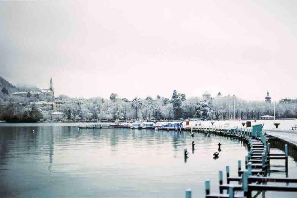 Le Boheme Beau T2 Vue Lac & Montagnes + Garage Анси Екстериор снимка